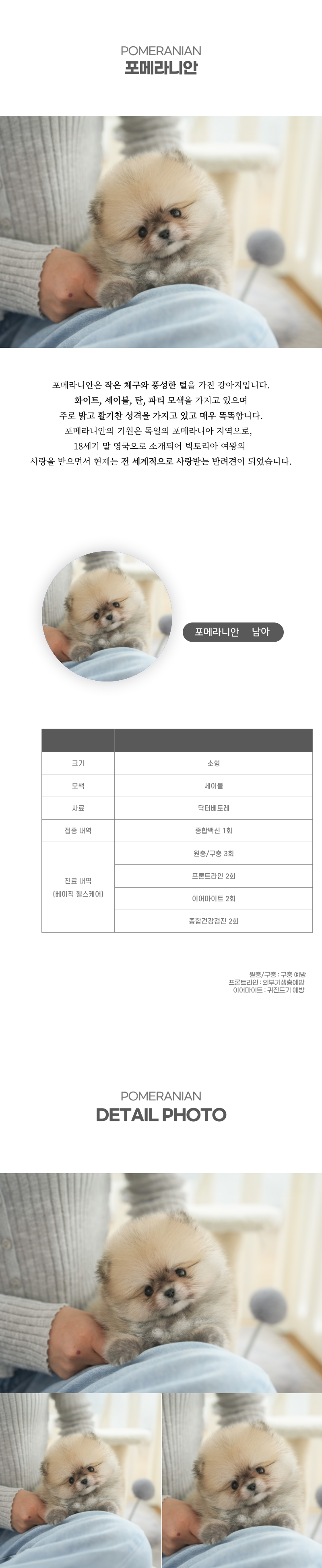 포메라니안_상세이미지_2